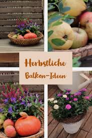 Herbst Am Balkon Jetzt Auf Dem Garten Blog Vom Garten Fraulein Balkon Balkon Ideen Pflanzen