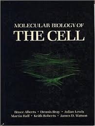 Prokaryotic cells, however, have no true nucleus.dna in a prokaryotic cell is not separated from the rest. Molecular Biology Of The Cell Book Wikipedia
