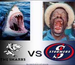 Boom should win mirage sharks barely played mirage in the last 12 months 37 for boom vs 10 for sharks. Stormers Shark Rugby Sport Bull Images