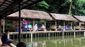Mancing Ikan Di Saung Dolken Bogor Youtube