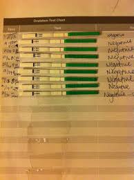 65 Prototypal Ovulation Record Chart