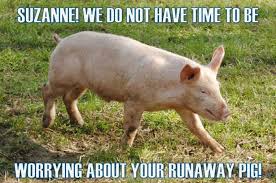 Designing Women Meme Runaway Pig Noel Suzanne Designing Women Woman Meme Design