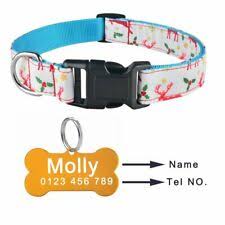 Cat collars, leashes and harnesses. Petsmart Pet Holiday Red Green Jingle Bell Dog Collar M Neck 14 20 Christmas For Sale Online Ebay