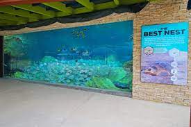 Aquarium maintenance & services / custom build aquarium stands. Turtle Reef Habitat Two New Rides Now Open At Seaworld San Antonio