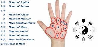 Fatelines Com Palm Reading Chart Diagram Palmistry Diagram