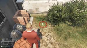 We did not find results for: Gta Online Peyote Plants Locations Gta Boom
