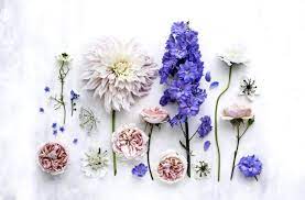 Follow the vibe and change your wallpaper every day! Summer Flowers Phone And Desktop Wallpapers A Conversation Desktop Wallpaper Flower 1472x969 Wallpaper Teahub Io