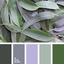 Image Result For Australian Bush Colour Palette Green Colour Palette Spring Color Palette Lavender Color Palette
