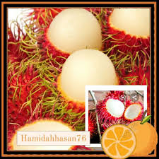 Dokumentari ini menerangkan potensi rambutan anak sekolah. Buy Rambutan Anak Sekolah Seetracker Malaysia