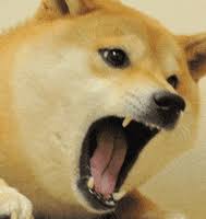 What happens when you mix the bizarrely hilarious shibe meme with animated gifs? Samurai Doge Gifs Get The Best Gif On Giphy