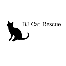 B J Cat Rescue Home Facebook