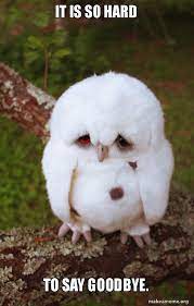 Add to my soundboard install myinstant app report download mp3 get ringtone notification sound. It Is So Hard To Say Goodbye Sad Owl Make A Meme