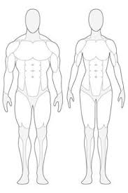 Ninja nerds, in this video we discuss the various components of the female reproductive system anatomy, through the use of a model. 110 Differences Between Male And Female Anatomy Ideas In 2021 Female Anatomy Anatomy Anatomy Reference