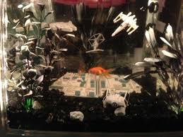 Pin By Jocelyn Cool On Tyler Fish Tank Weather Resistant Pillows Outdoor Weather