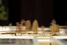 Call to action 2025 - Biennale Architettura Pisa