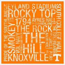 Pin By Kelli Smith On Me In A Nutshell Tennessee Volunteers Tennessee Neyland Stadium