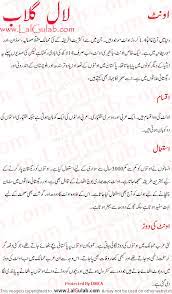 There are two important species of camels arabian and. Khwab Ki Tabeer Khawab Ki Tabeer Khwabon Ki Tabeer Camel Information In Urdu Camel Oont Ki Maloomat Types Of Camel
