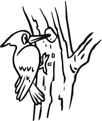 Woodpecker Coloring Sheet Coloring Pages Colouring Pages Woodpecker