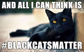 Can familiar images remixed with new text be a force for good? Pin By Jen On Hellcat Murderball Cats Funny Cats Cat Memes
