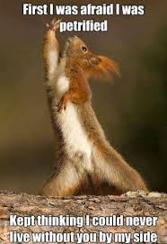 Can T Live Without You Funny Animals Funny Animal Pictures Bones Funny