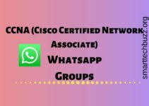 Friends once you check this page i hope you like these bitcoin whatsapp group invite links. Bitcoin Group On Whatsapp Join 300 Bitcoin Whatsapp Group Links 2021