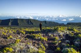 Pas de frais de carte de crédit. Location De Voiture Pas Cher A La Reunion Blog Voyage