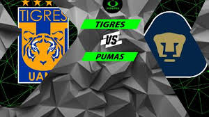 Luis quintana (pumas unam) segunda tarjeta amarilla por juego peligroso. Resultado Tigres Vs Pumas Video Resumen Goles Cuartos De Final Torneo Apertura 2018