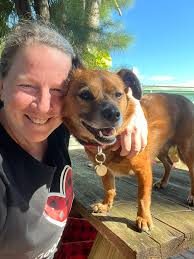 Life Is Better With A Dog