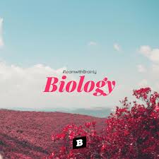 Tuliskan Undag Undang Yang Mengatur Tentang Zat Psikotropika Brainly Co Id