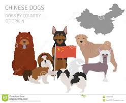 Dogs By Country Of Origin Chinese Dog Breeds Infographic