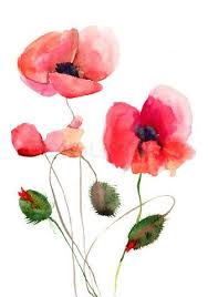 Image Of Stylized Poppy Flowers Illustration Watercolor Poppies Watercolor Flowers Tutorial Watercolor Flowers