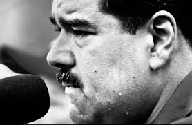 noe leon ardila (@noeleonardila)