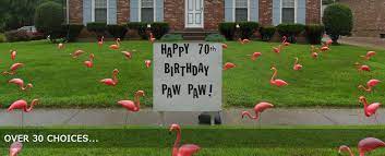 Discover the best range of garden powertools in ireland including lawn mowers, pressure washers and more. Welcome To Flamingo Greetings Birthday Anniversary New Born Surprises Valentines Lawn Decorations In Louisville Ky