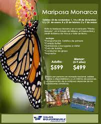 Conozca El Santuario De Las Mariposas Monarca