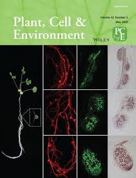 Publication start year plant cells* plant physiological phenomena*. Cover Image Plant Cell Environment X Mol