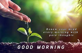 Nature Good Morning Images With Quotes Good Morning Nature Morning Images Good Morning Images