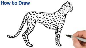 In this tutorial, i will show you how to draw a cheetah—the fastest land animal. How To Draw A Cheetah Easy Animals Drawings Art Tutorial Youtube