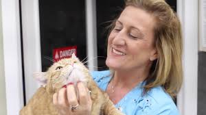 Waterford, MI Veterinary Team