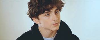 my body is a cage — INTRODUCING: LEO MCCARTHY { timothee chalamet,...