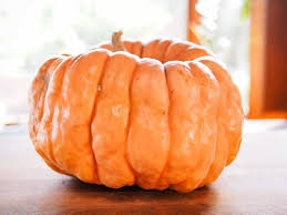 See full list on wikihow.com Curing The Simple Trick To Storing Squash All Winter Long Garden Betty