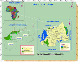 Image result for Tetradenia tanganyikae