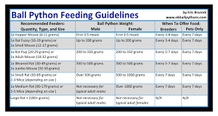 Ball Python Feeding Chart How Much To Feed A Ball Python