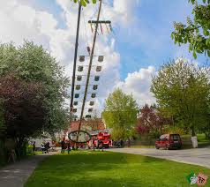 Bis zur haustür und stellen diese auf. Maibaumfest In Hainhofen Brauchwiki