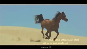 شيلة أهل الخيل عمر العيسى Youtube