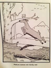 Because melatonin can cause daytime drowsiness, don't drive or use machinery within five. The Far Side Far Side Comics Far Side Cartoons The Far Side Comics