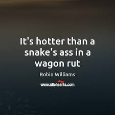 9 youre hotter than famous sayings, quotes and quotation. It S Hotter Than A Snake S Ass In A Wagon Rut Idlehearts