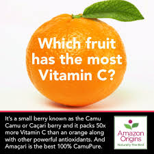 Most Vitamin C Rich Fruit In The World We Like To Call It Pharmacy In A Fruit Vitamin C Rich Fruits Fruit Superfruit