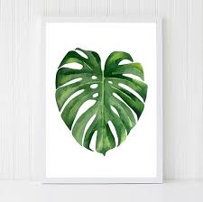 Monstera Leaf Poster Printable Tropical Art Classroom Plant Etsy Leaf Artwork Palm Frond Art Watercolor Leaves