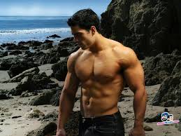 Here are some of our latest bodybuilder wallpapers. Natural Bodybuilder Wallpapers Hd Wallpaper Cave