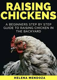 Check out how these simple steps can help you and your family start enjoying healthy breakfast eggs. Raising Chickens A Beginners Step By Step Guide To Raising Chicken In The Backyard Kindle Edition By Mendoza Helena Crafts Hobbies Home Kindle Ebooks Amazon Com